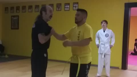 One hand lapel grab defense