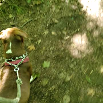 No friends only people that know my name