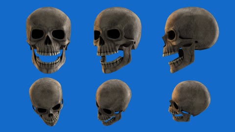 Skulls on blue background