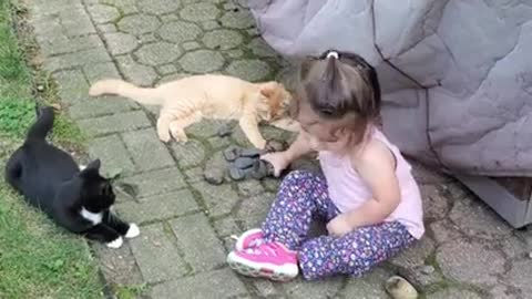 Adorable toddler girl play with very intrigued kitty