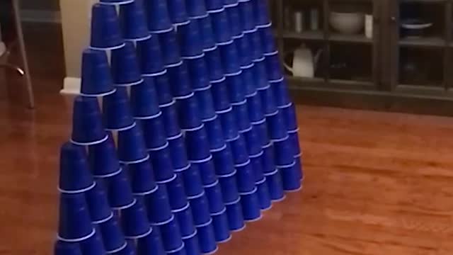 Adorable Kitty Scores Perfect Game In Living Room Bowling