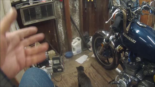 Plug check 11 16 2