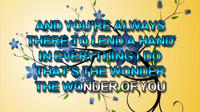 kbkaraokeking The Wonder Of You Elvis