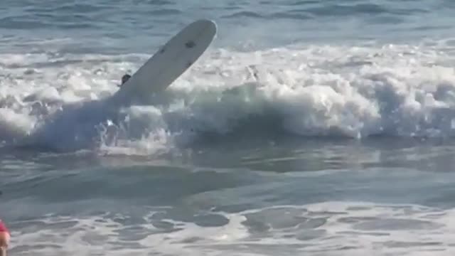 Woman flipped over by wave on board