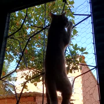 Can I get away from above? if I don't, I'll have to go underneath!