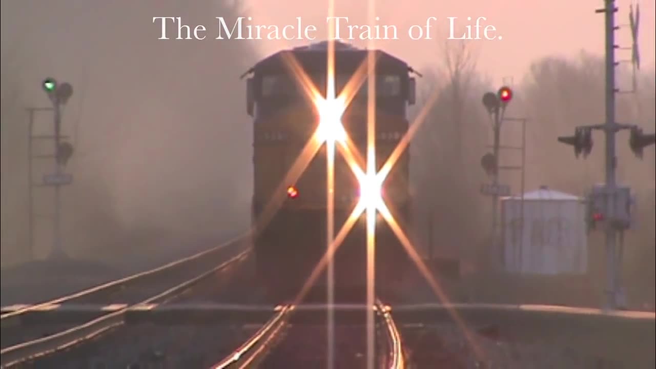 Miracle Train of Life- Daily Meditation.