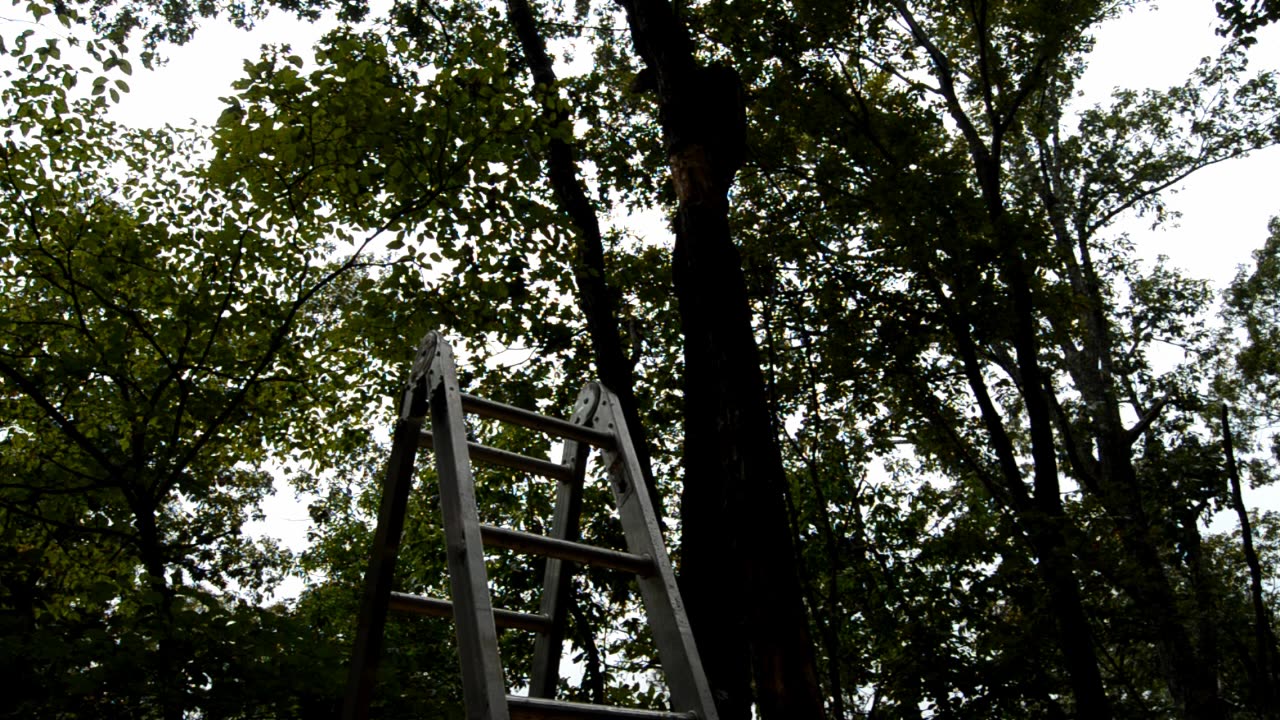 Roofing the Treehouse