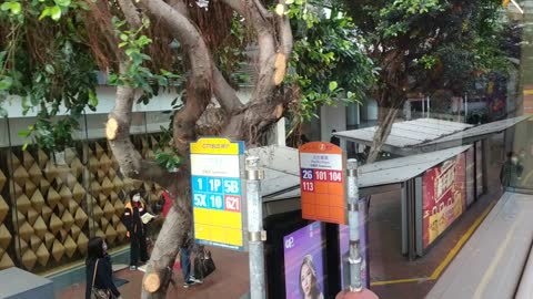 HongKong Road view bus #104 Wanchai to Central_20210205