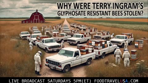 WHY WERE TERRY INGRAM'S BEES CONFISCATED?
