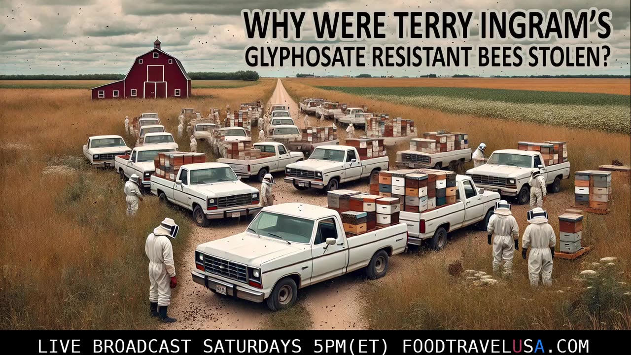 WHY WERE TERRY INGRAM'S BEES CONFISCATED?