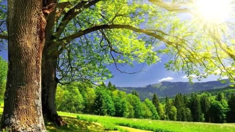 Relaxing Music | Sleeping, Meditation, Stress Relief | [3036] ⭐️