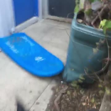 Guy uses blue board to go down stairs