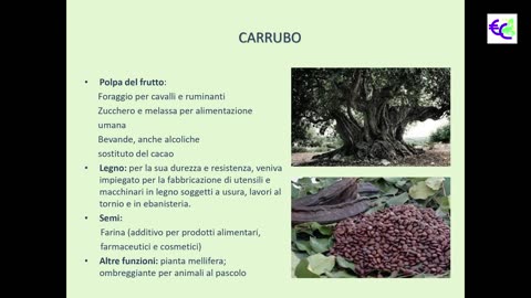 Convegno Semi e Frutti Antichi (11 Aprile 2019) - 03 - Schirone