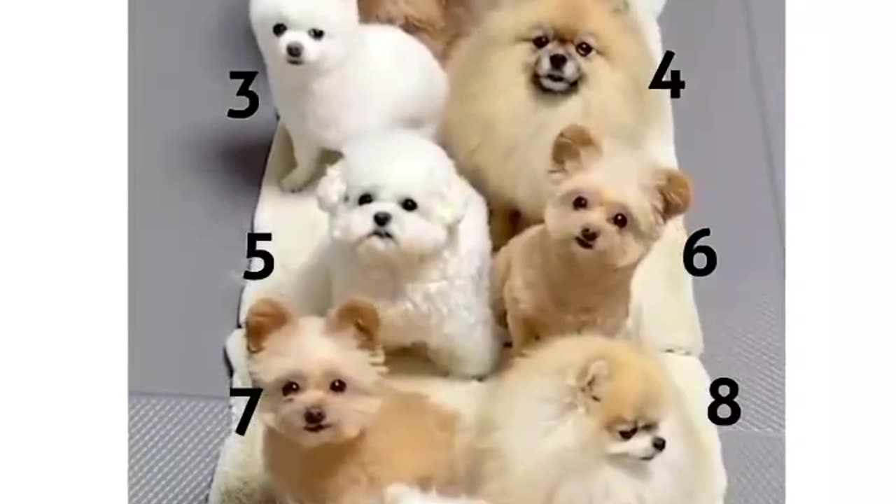 Which one?