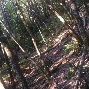 Tribute for the late great Andrew Wood