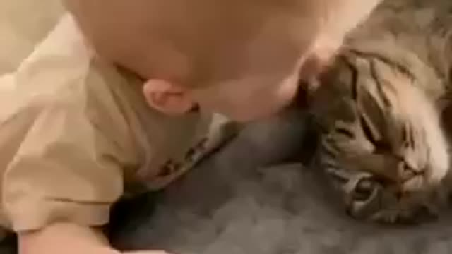 cute baby funny video