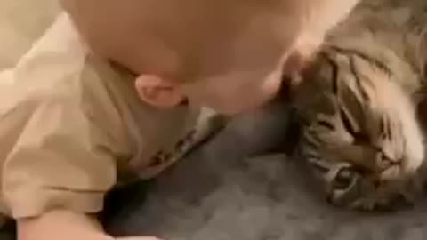 cute baby funny video