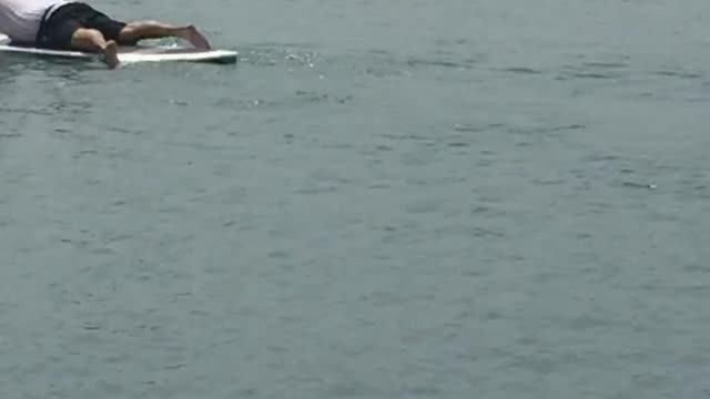 Two guys in the water laying down and paddling