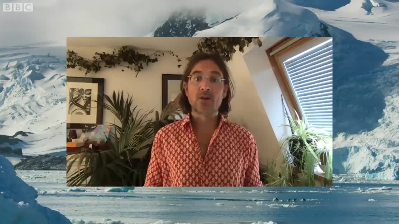 The Antarctic's Terrifying Predator | Wild Stories | BBC Earth