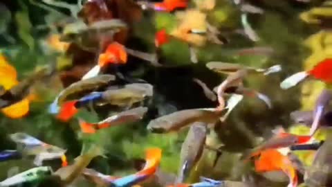 The behavior of wild animals that make you happy and excited