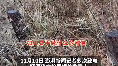 CCP power company abuses trees, case filed for two years without trial