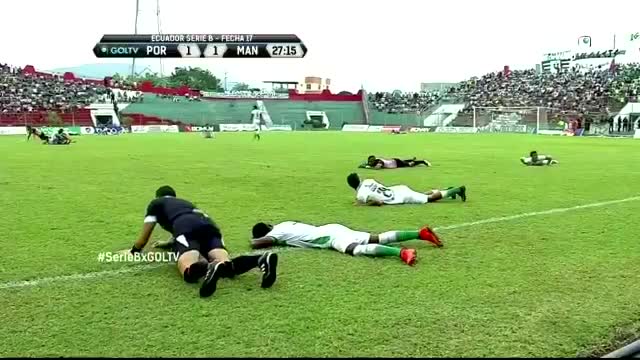 Enjambre de abejas interrumpió partido de fútbol en Ecuador