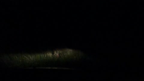 Vlog in the car before a night hike