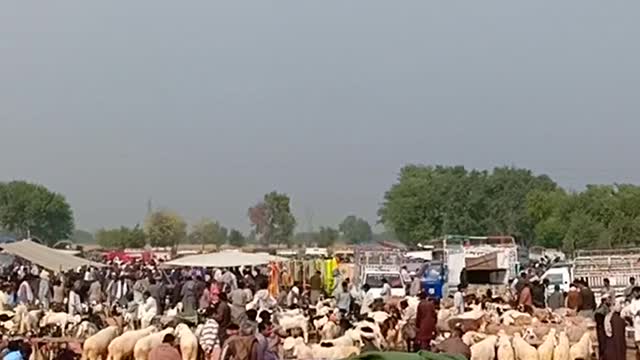 View of mandi from outside very beautiful...