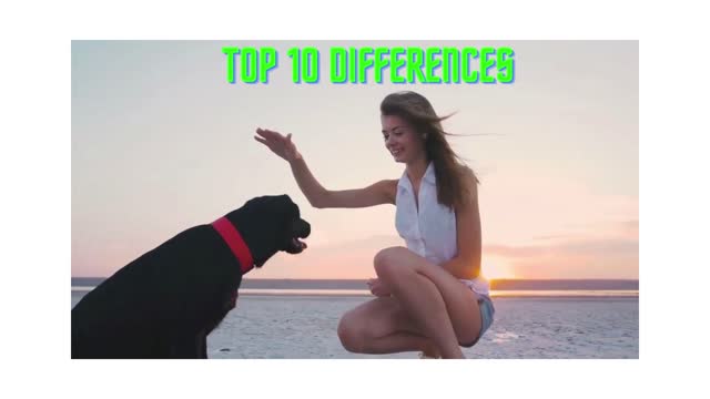 🐕 Top 10 differences between male and female dogs!