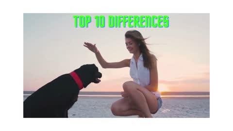 🐕 Top 10 differences between male and female dogs!