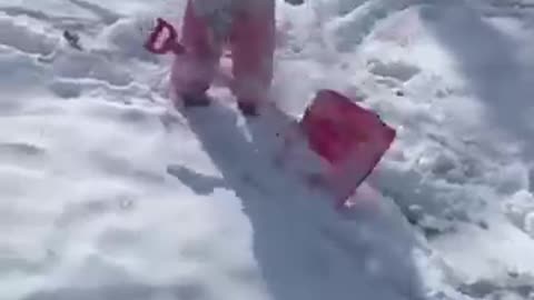 Funny Videos