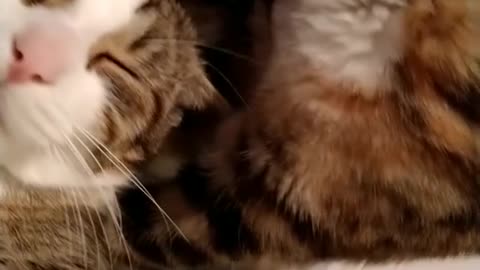 Loving my Caty