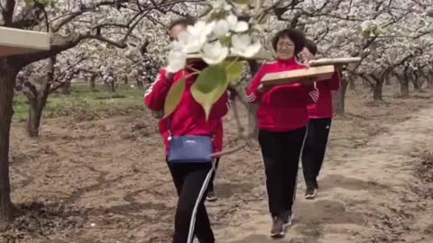Animals can be funny3