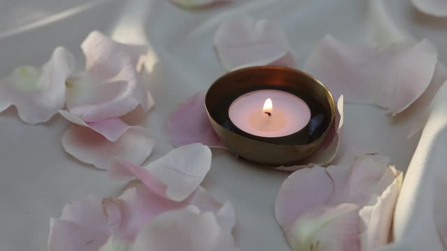 Beautiful flowers