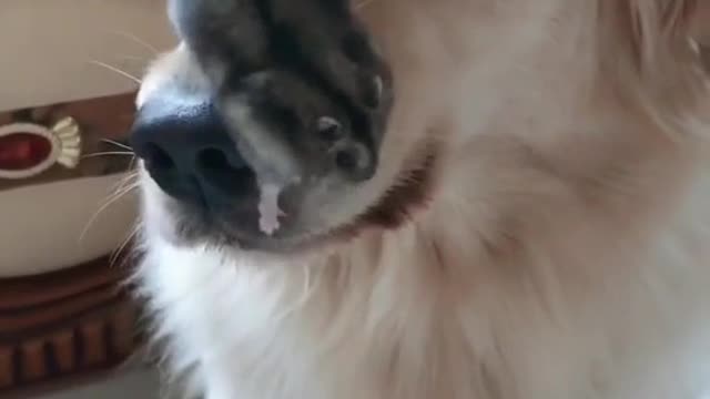 Push the nose to the face
