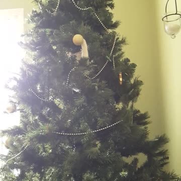 Gatito navideño "ayuda" con la decoración