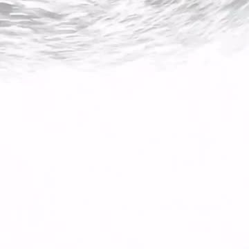 Shark Fight with 3 people in cage😱😱😱😱