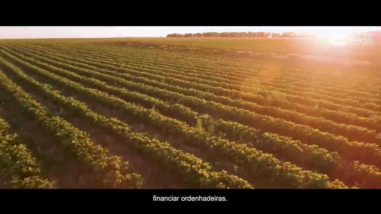 Bolsonaro: Título de terras para Micro Produtores