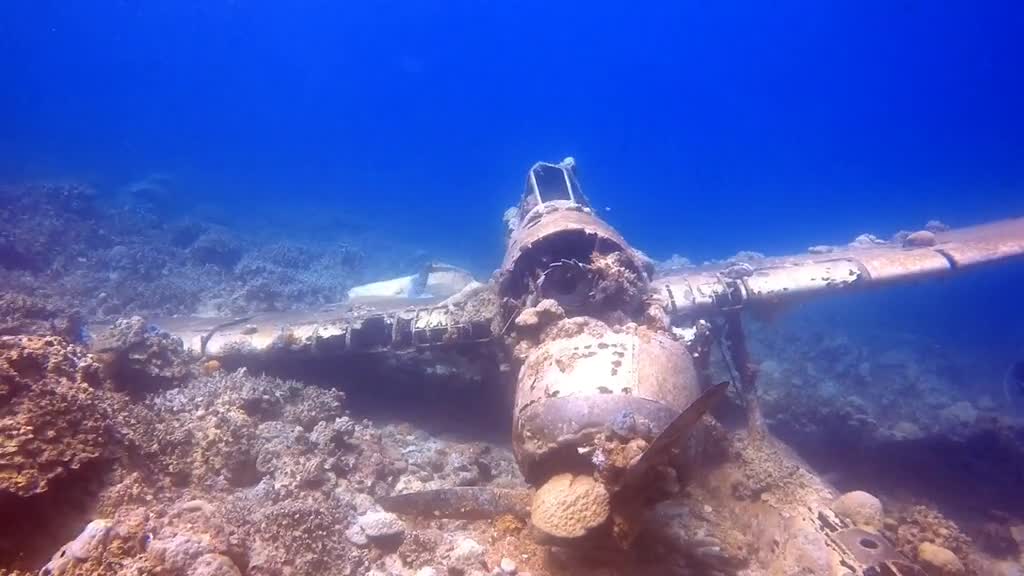 A plane that fell to the bottom of the sea