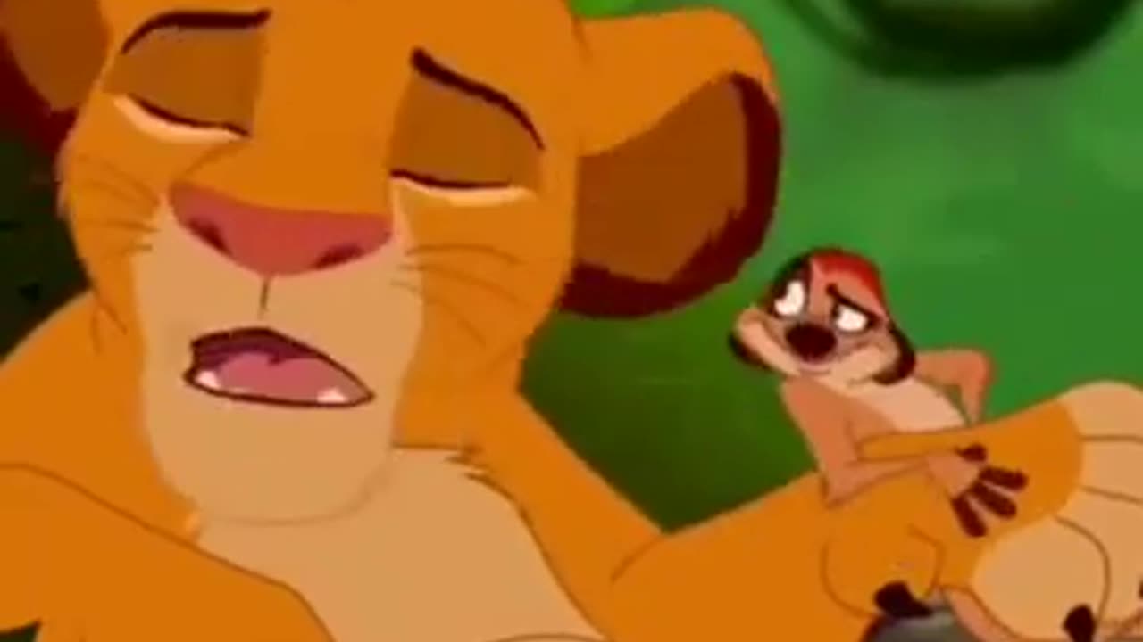 Wtf Does That Mean Lion King Voice Over Funniest_Best Vines