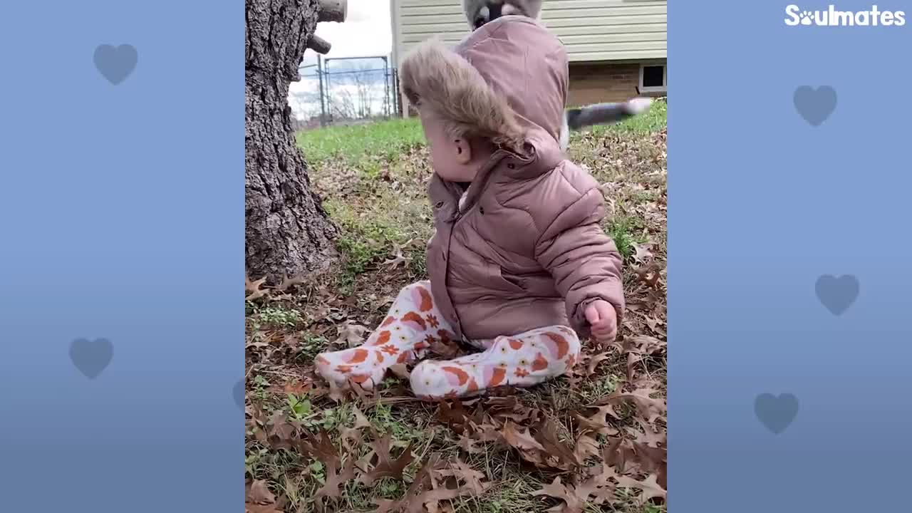 Husky Grows Up With Baby Girl And They Do Everything Together