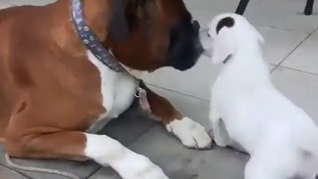 Aww 🥰