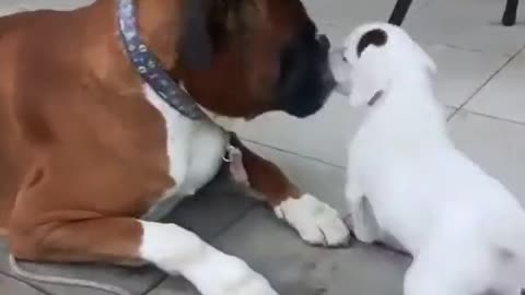 Aww 🥰