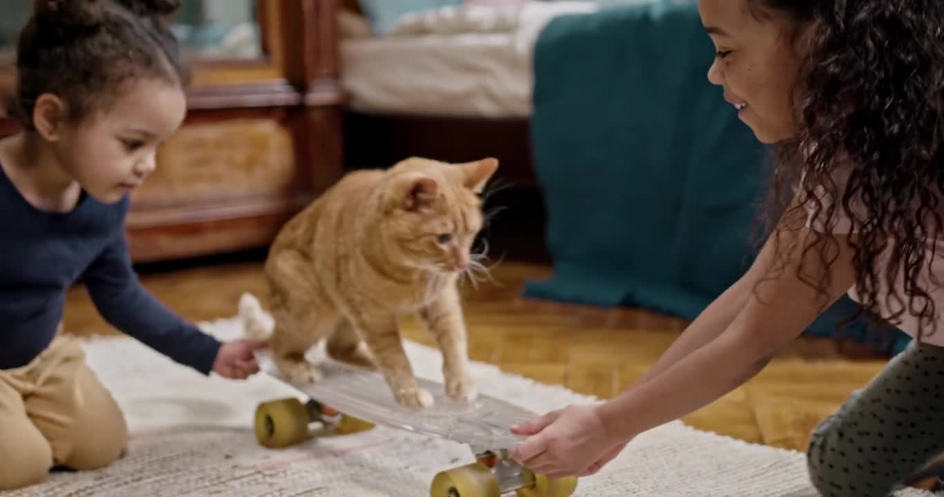 Kids Playing With Their Cat On A Skateboard