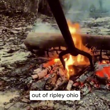 Portable fire poker and bellows