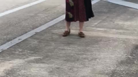 Biden Supporter