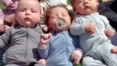 several baby