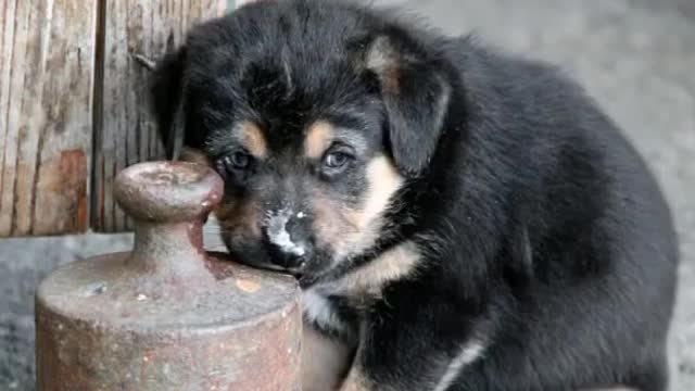 try not to laugh | funny fails 2022