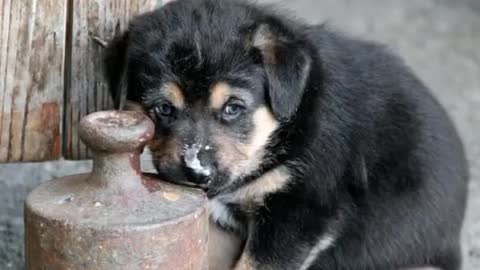 try not to laugh | funny fails 2022