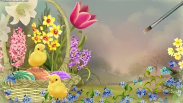 wonderful morning